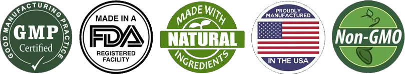 Premium Quality Manufacturing Standards