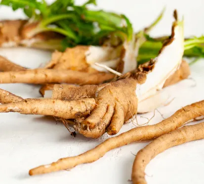 Javatide Chicory Root Inulin